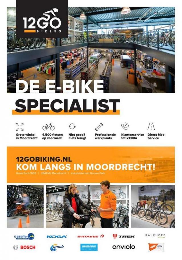  12GO Biking E-Bike Koopgids 2019 . Page 40