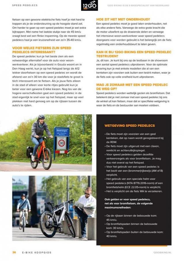  12GO Biking E-Bike Koopgids 2019 . Page 36