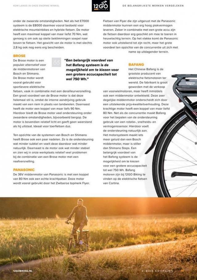 12GO Biking E-Bike Koopgids 2019 . Page 11