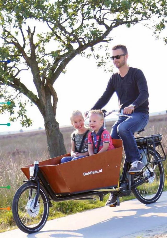 Brochure 2019 . Page 13. Bakfiets