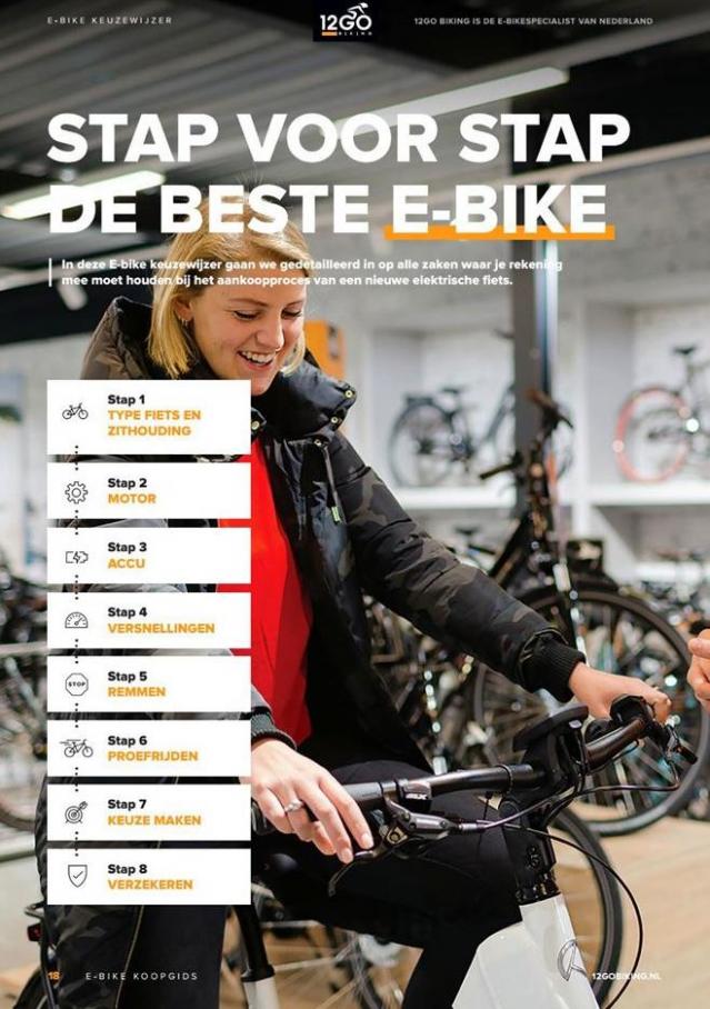  12GO Biking E-Bike Koopgids 2019 . Page 18