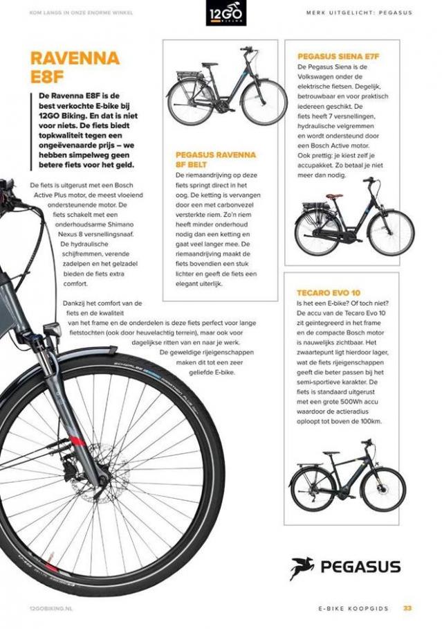 12GO Biking E-Bike Koopgids 2019 . Page 33