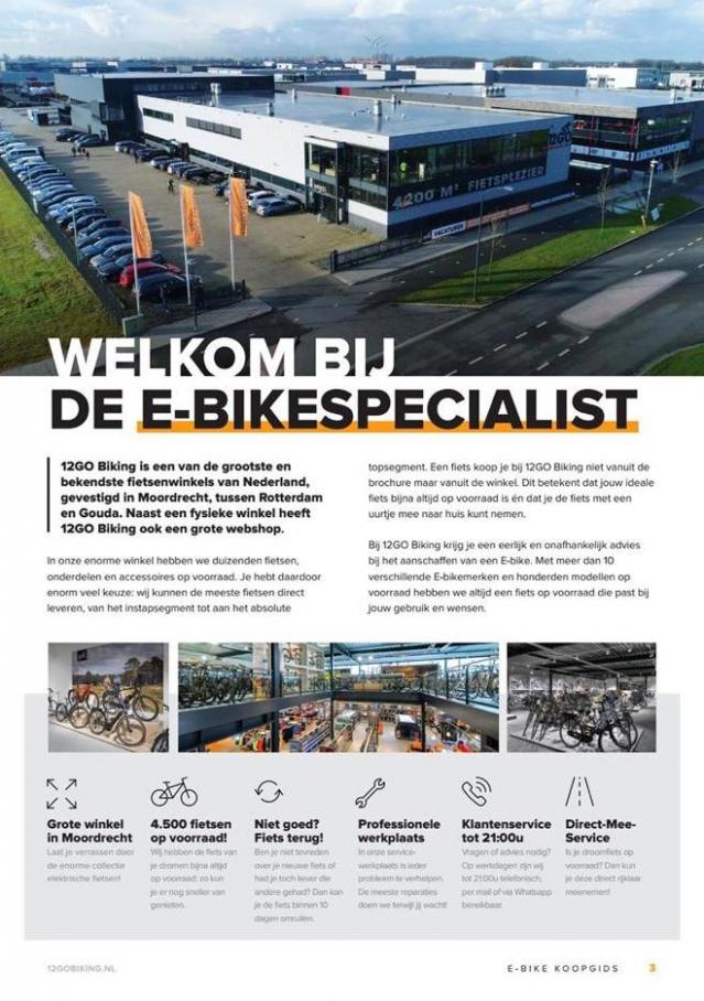  12GO Biking E-Bike Koopgids 2019 . Page 3