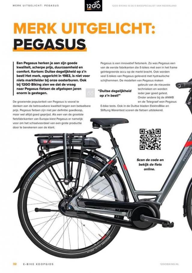  12GO Biking E-Bike Koopgids 2019 . Page 32