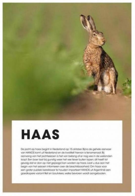  HANOS Wild magazine . Page 14