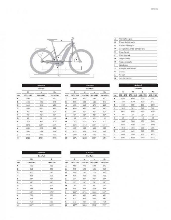  E-Bikes 2020 . Page 83