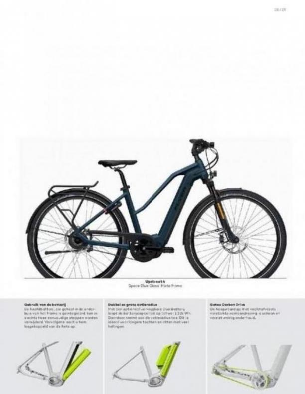  E-Bikes 2020 . Page 21