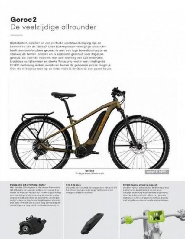  E-Bikes 2020 . Page 34