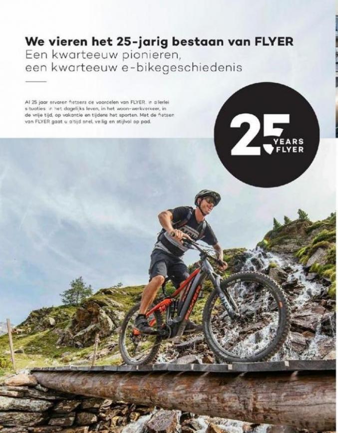  E-Bikes 2020 . Page 4