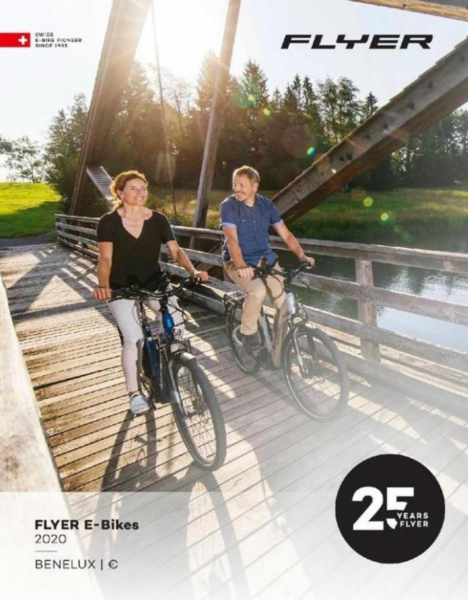 E-Bikes 2020 . Flyer Fietsen. Week 4 (2020-12-31-2020-12-31)