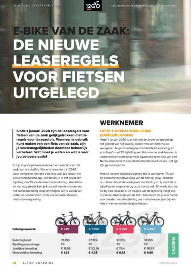  12GO Biking E-Bike Koopgids 2020   . Page 18
