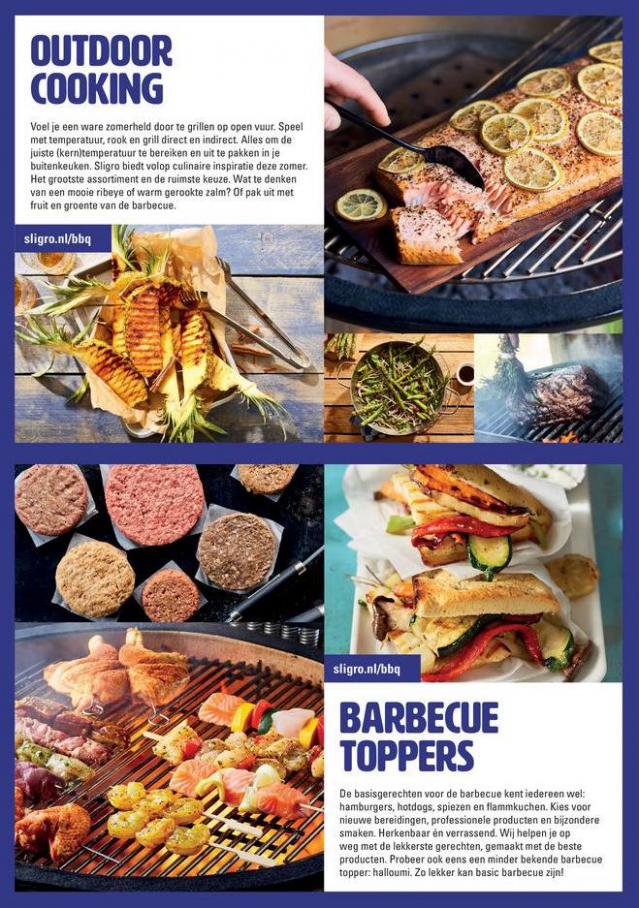  Terras-BBQ . Page 3