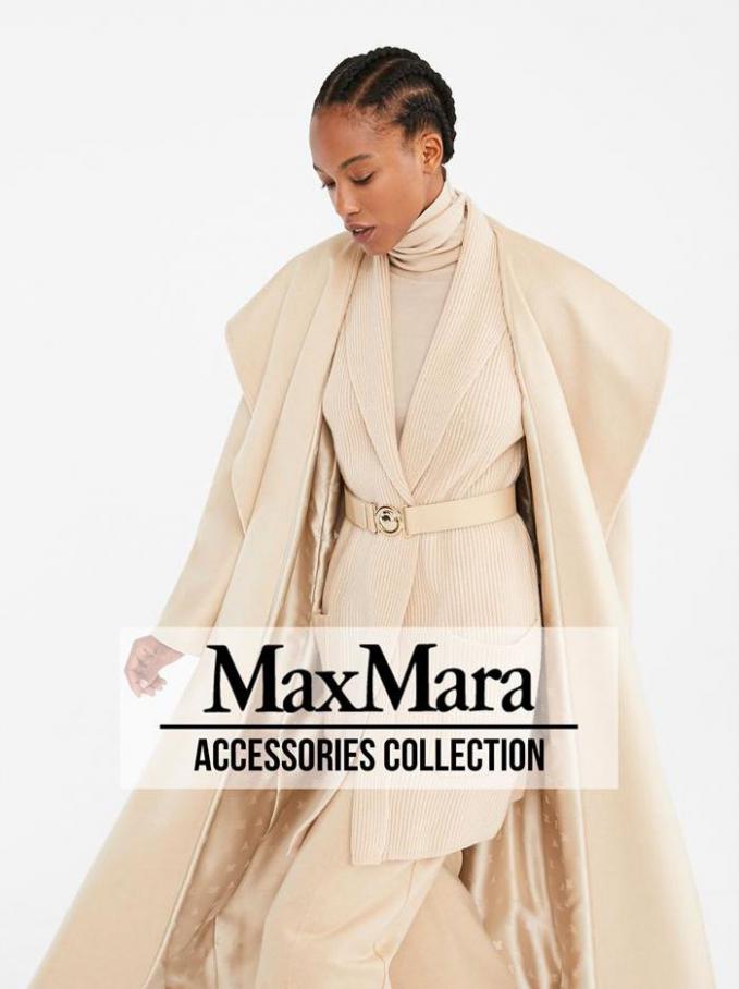 Accessories Collection . MaxMara. Week 43 (2020-12-19-2020-12-19)