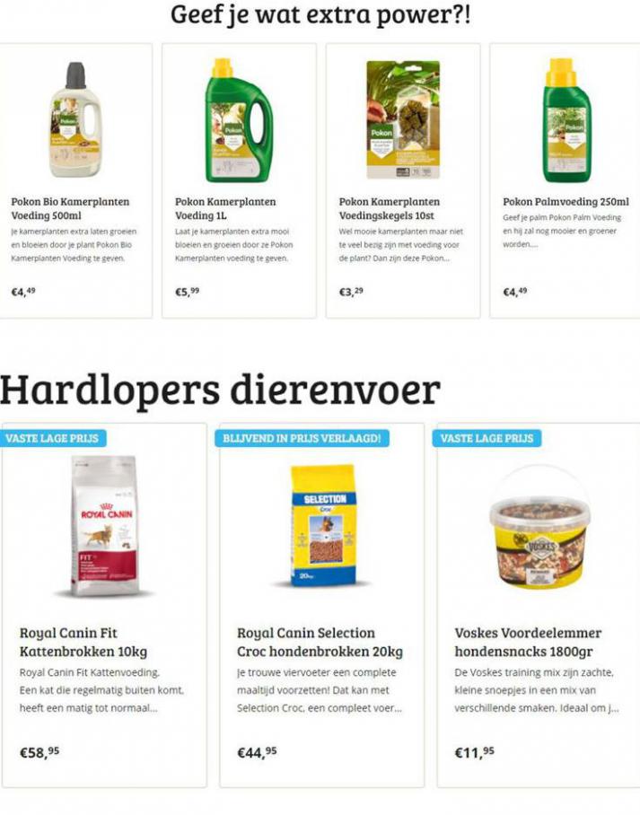  Nieuws . Page 2