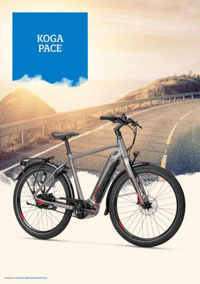   E-bike Collectie 2021 . Page 20