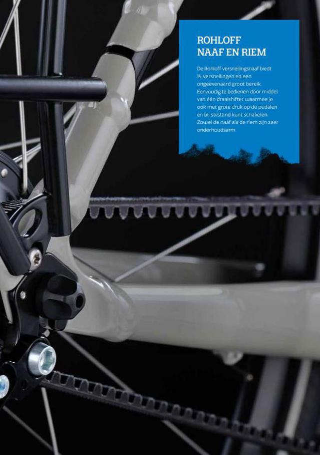   E-bike Collectie 2021 . Page 31