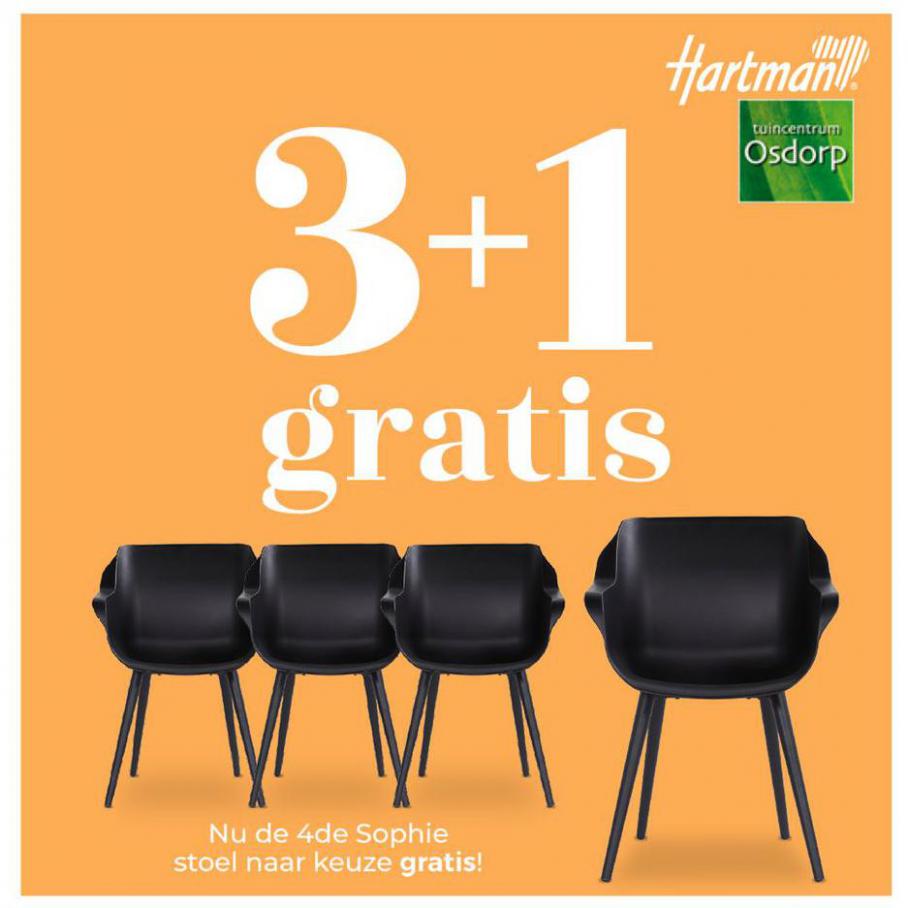 Hartman Sophie stoelen 3+1 gratis! . Tuincentrum Osdorp. Week 21 (2021-06-20-2021-06-20)