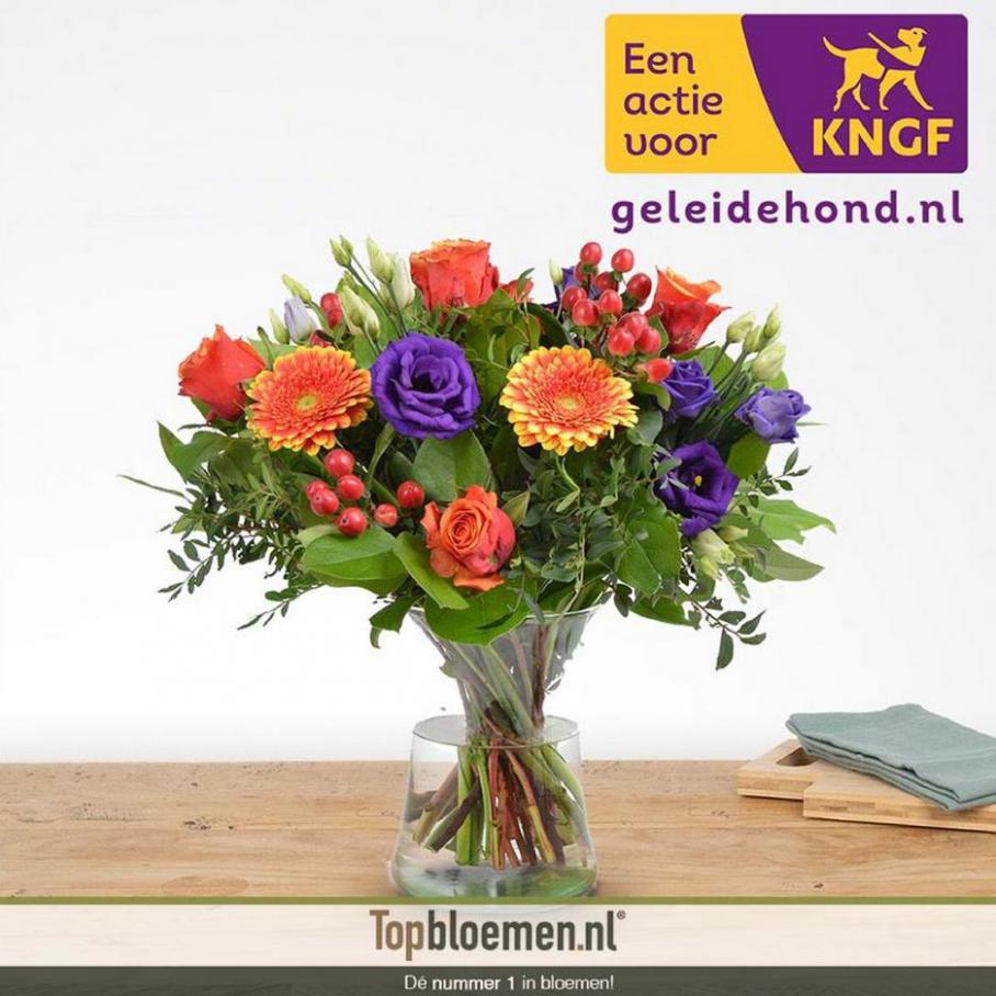 Steun KNGF Geleidehonden met €2,50 en wij verdubbelen het bedrag . Topbloemen. Week 39 (-)