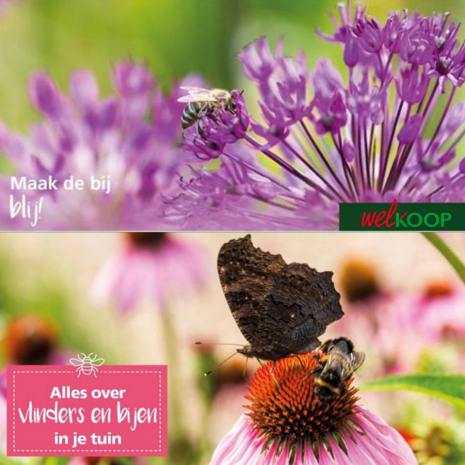 Wil je vlinders en bijen in je tuin?. Page 6