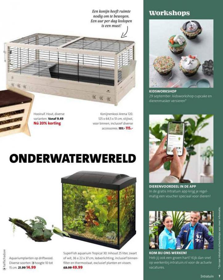 Magazine week 39 2021 NL. Page 7