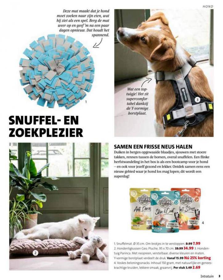 Magazine week 39 2021 NL. Page 3