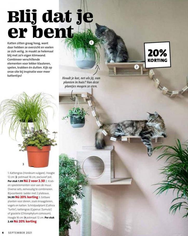 Magazine week 39 2021 NL. Page 4