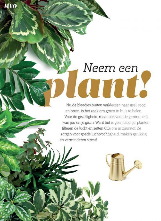 Leen editie 3 - 2021. Page 52