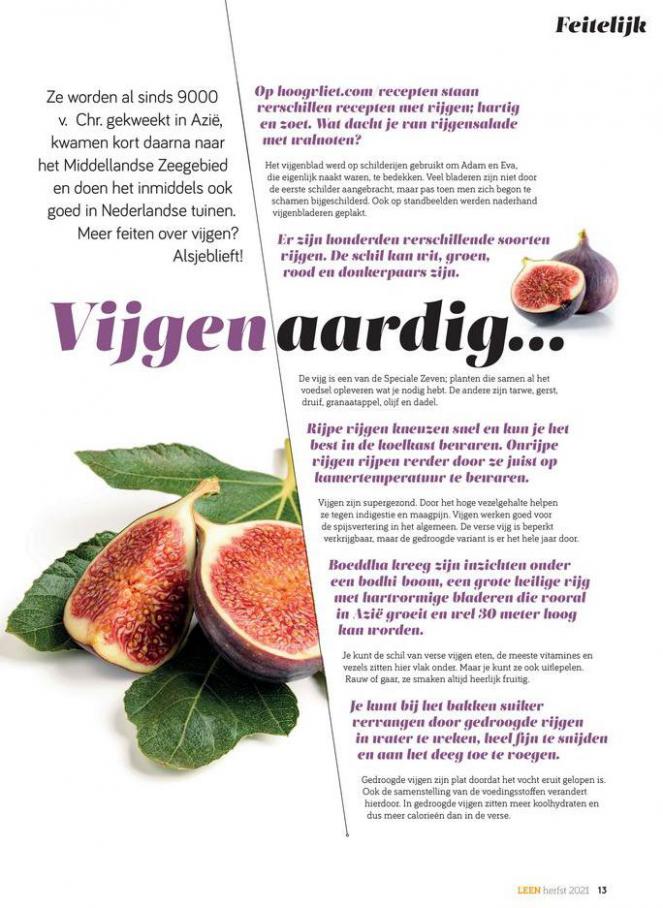 Leen editie 3 - 2021. Page 13