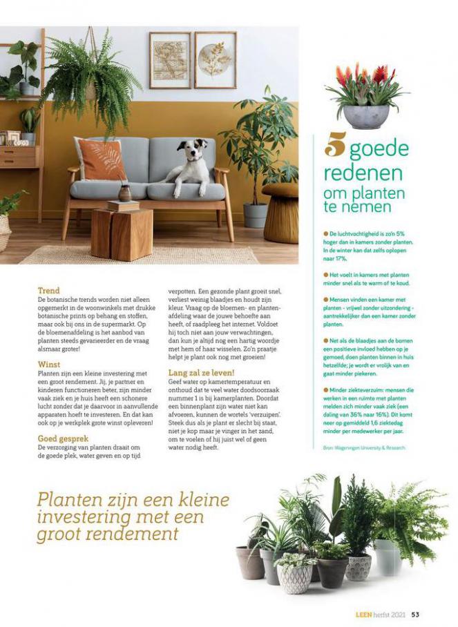 Leen editie 3 - 2021. Page 53