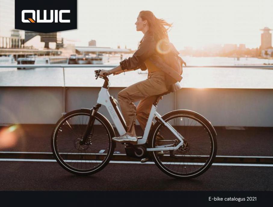 E-Bike 2021. Qwic. Week 45 (2021-12-31-2021-12-31)