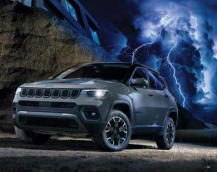 Jeep Compass. Page 41