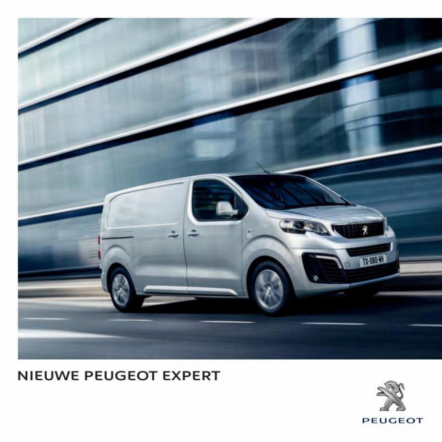Expert. Peugeot. Week 4 (2023-01-01-2023-01-01)