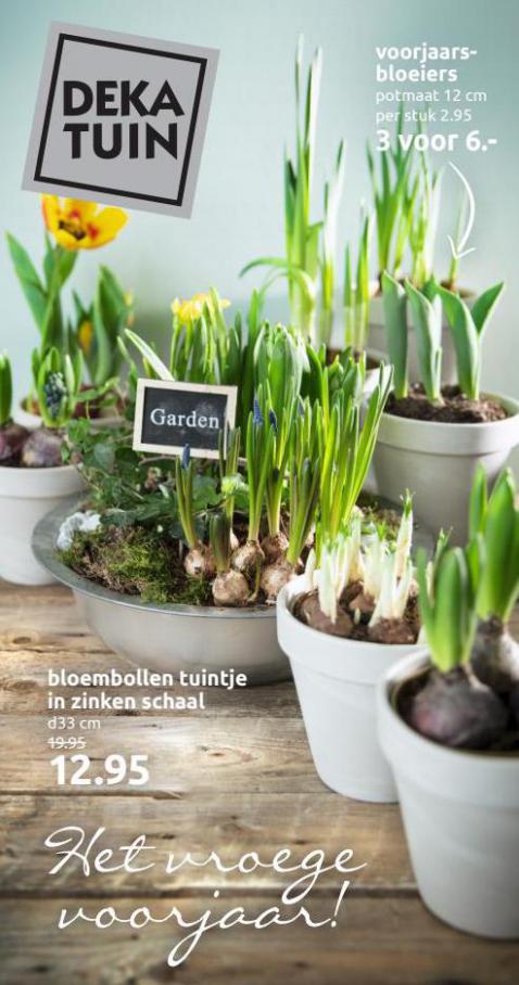 Het vroege voorjaar!. Deka Tuin. Week 8 (2022-03-05-2022-03-05)