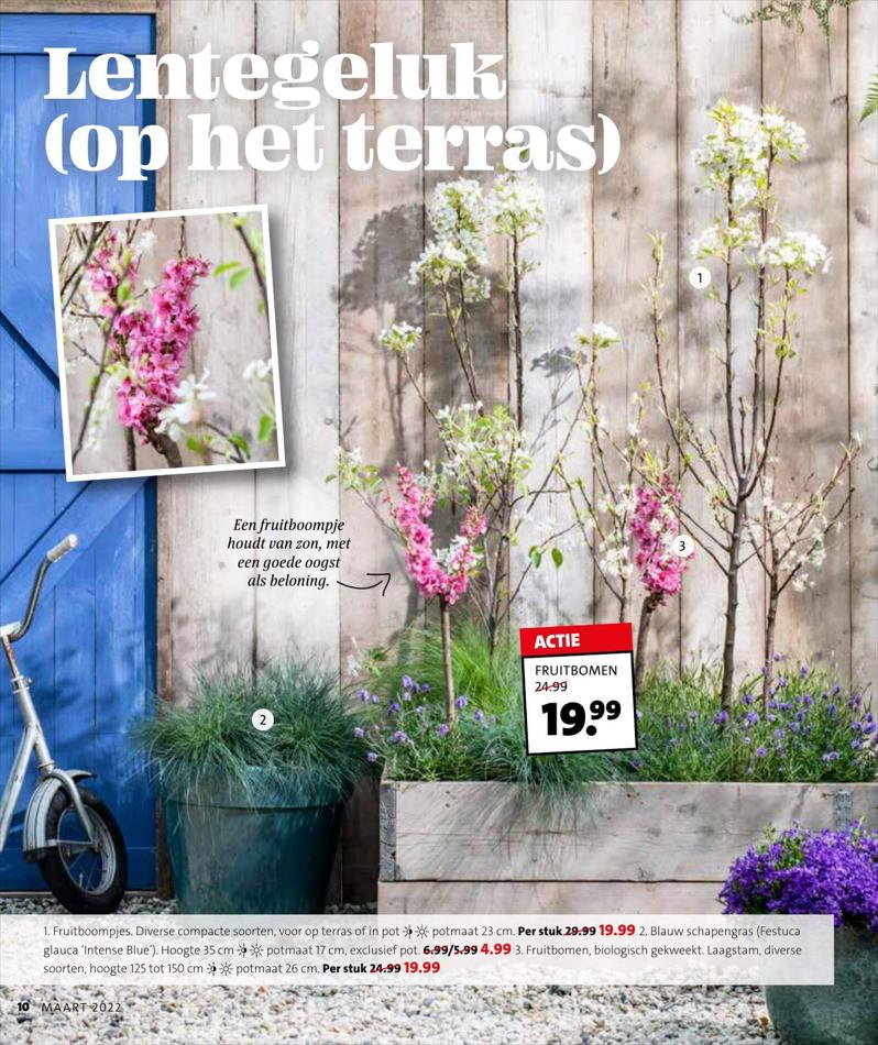 Magazine week 11 2022 NL B. Page 10