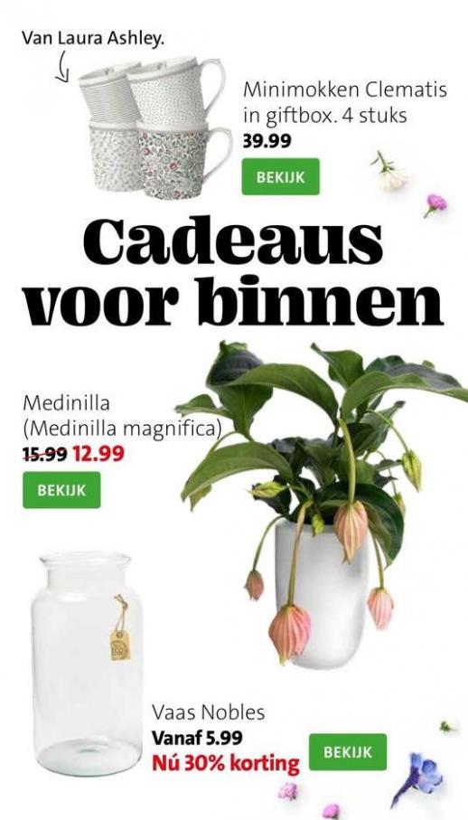 Magazine week 18 NL 2022 B. Page 19