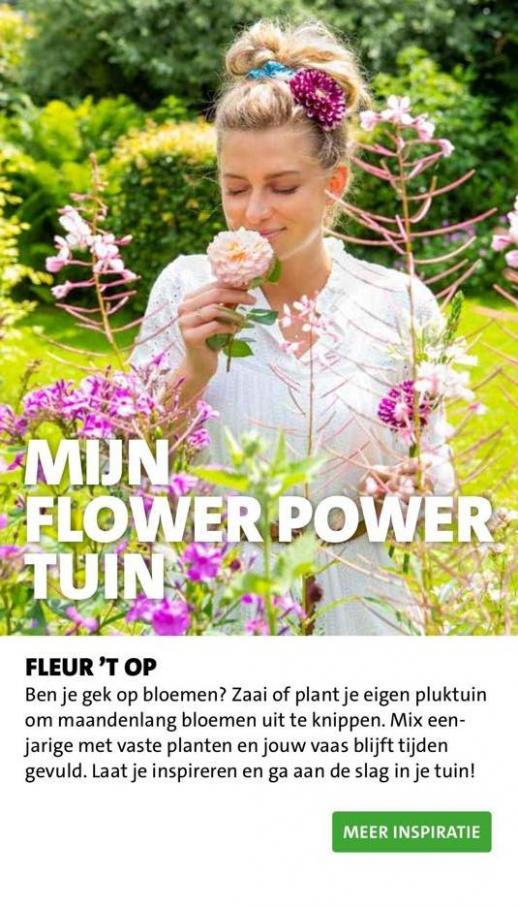 Magazine week 18 NL 2022 B. Page 26