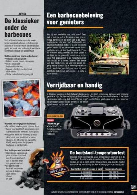 Barbecueën Hornbach. Page 19