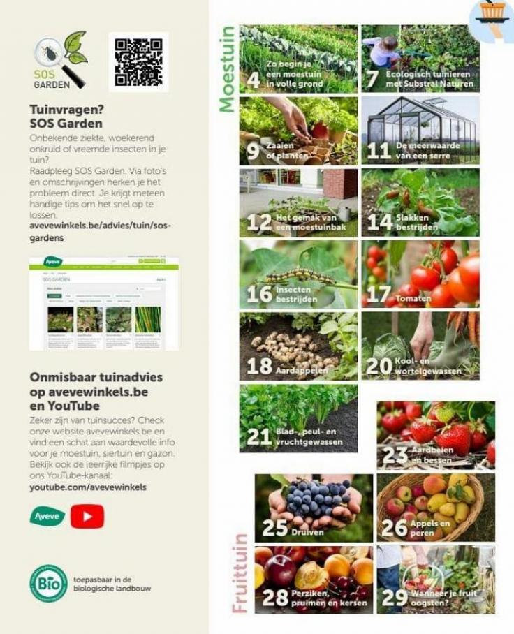 Heerlijke groenten en fruit uit eigen tuin. Page 2