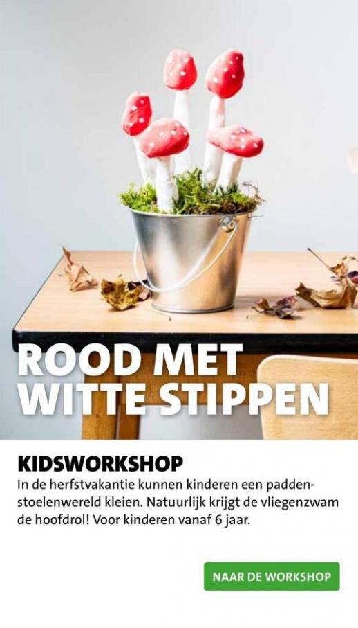 Magazine week 39 2022 NL. Page 15