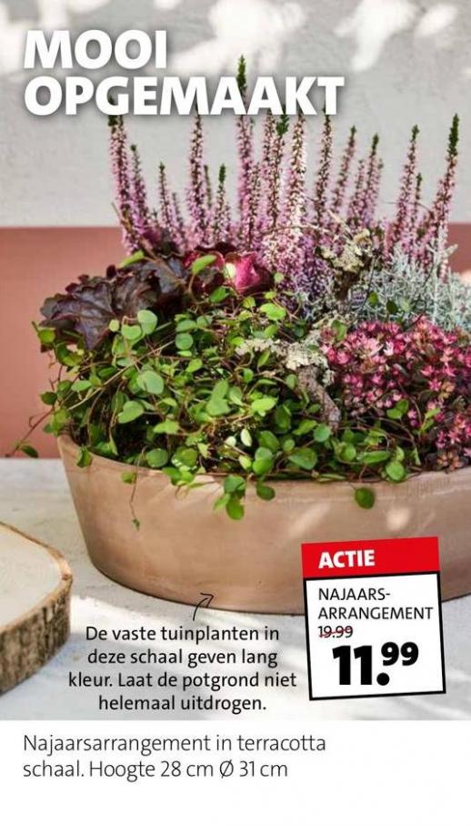 Magazine week 40 2022 NL. Page 40