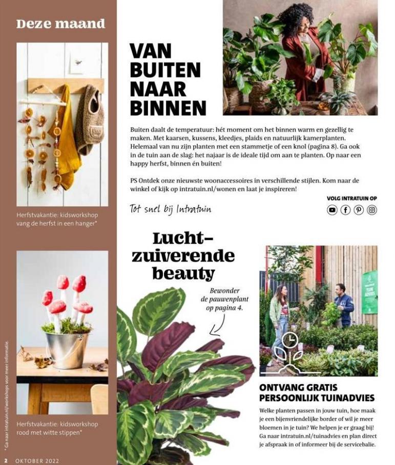 Magazine week 42 2022 NL. Page 2