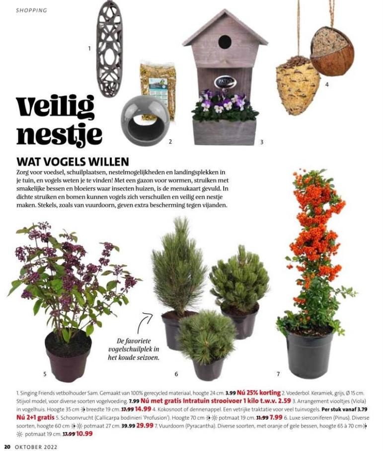 Magazine week 42 2022 NL. Page 20
