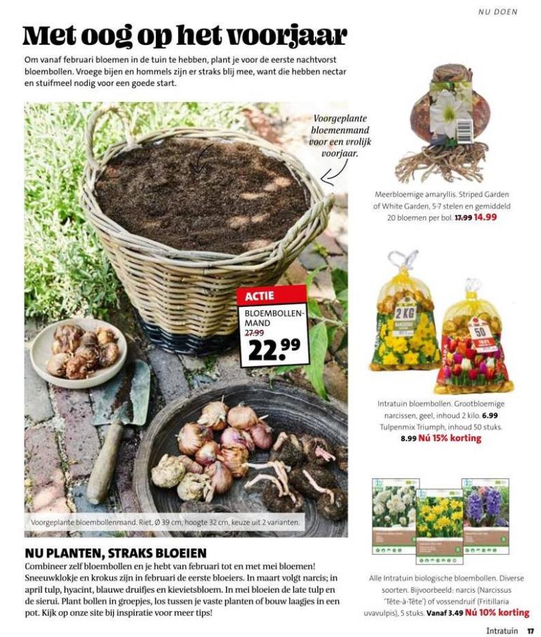 Magazine week 42 2022 NL. Page 17