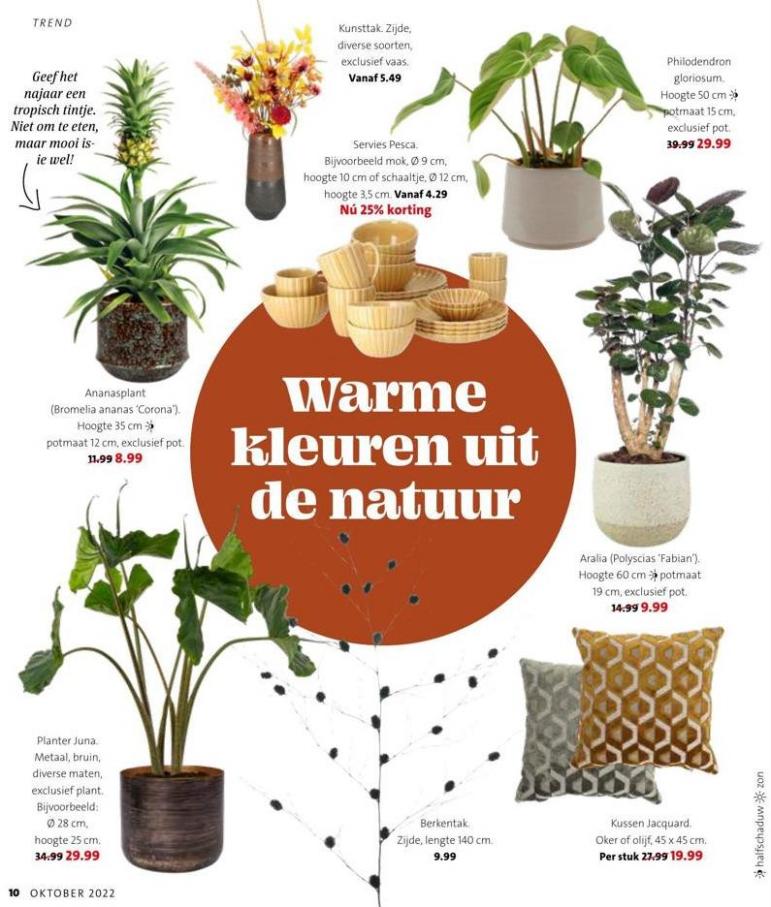Magazine week 42 2022 NL. Page 10