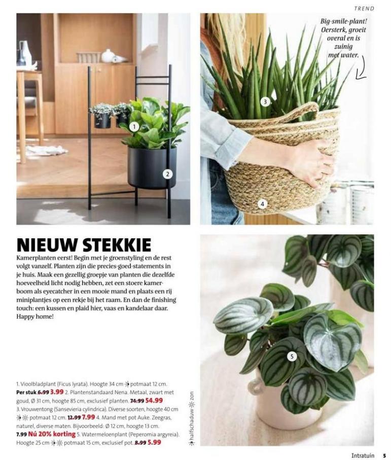 Magazine week 42 2022 NL. Page 5