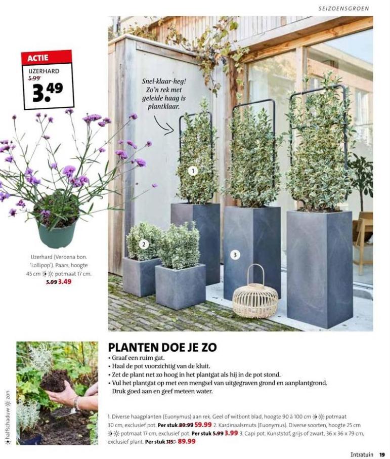 Magazine week 42 2022 NL. Page 19