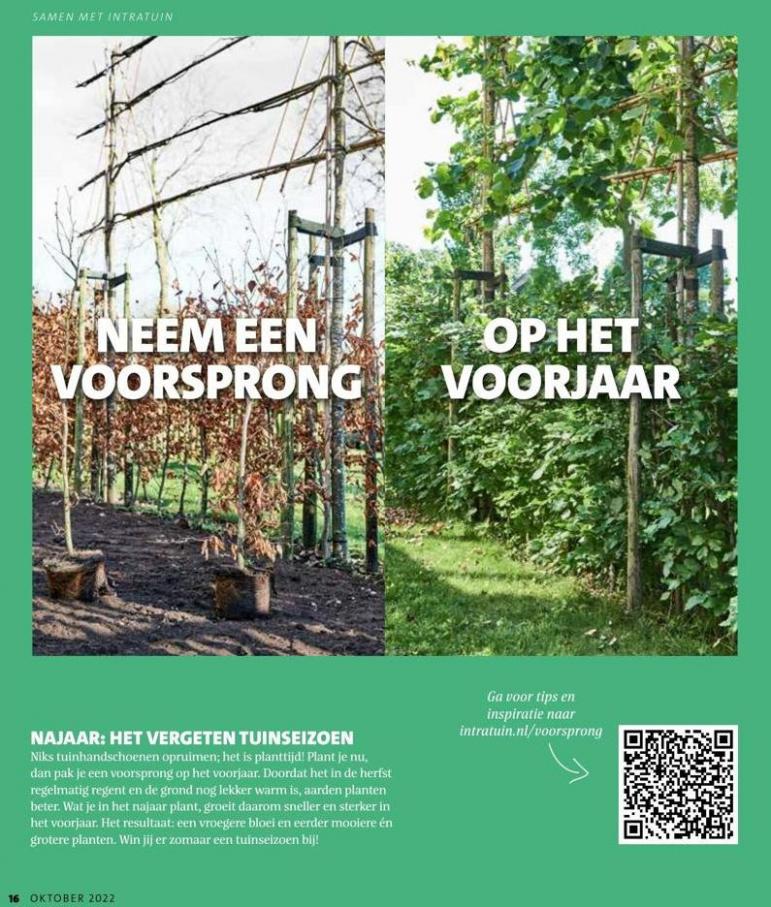 Magazine week 42 2022 NL. Page 16