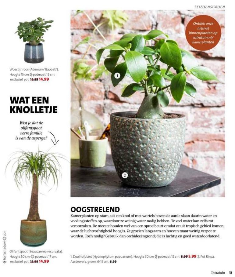 Magazine week 42 2022 NL. Page 13
