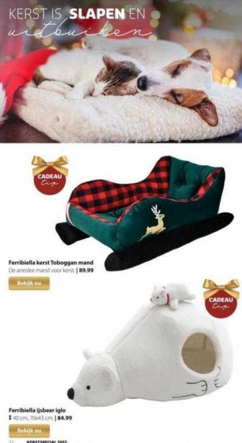 Pets Place Kerstspecial 2022. Page 32