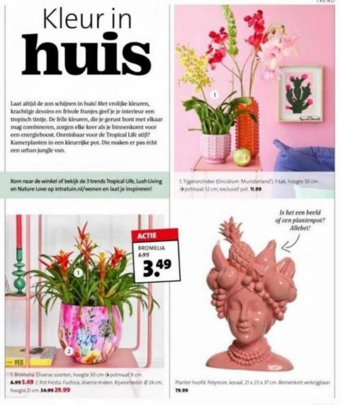 Magazine week 5 2023 NL. Page 5